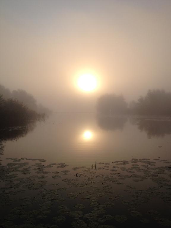 Studio Lakeside Spiegelplas Nederhorst den Berg Cameră foto